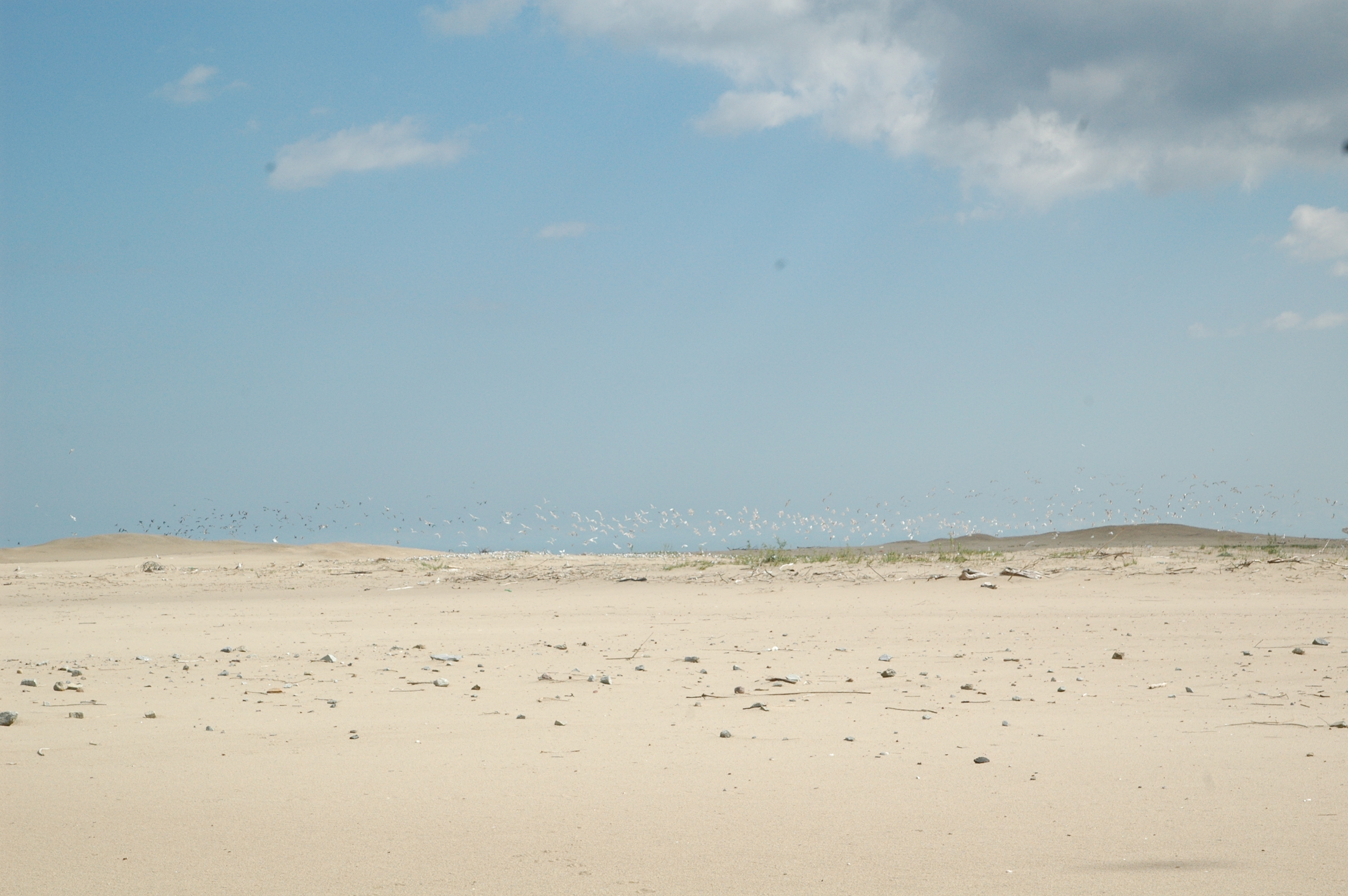 Vistula River Mouth